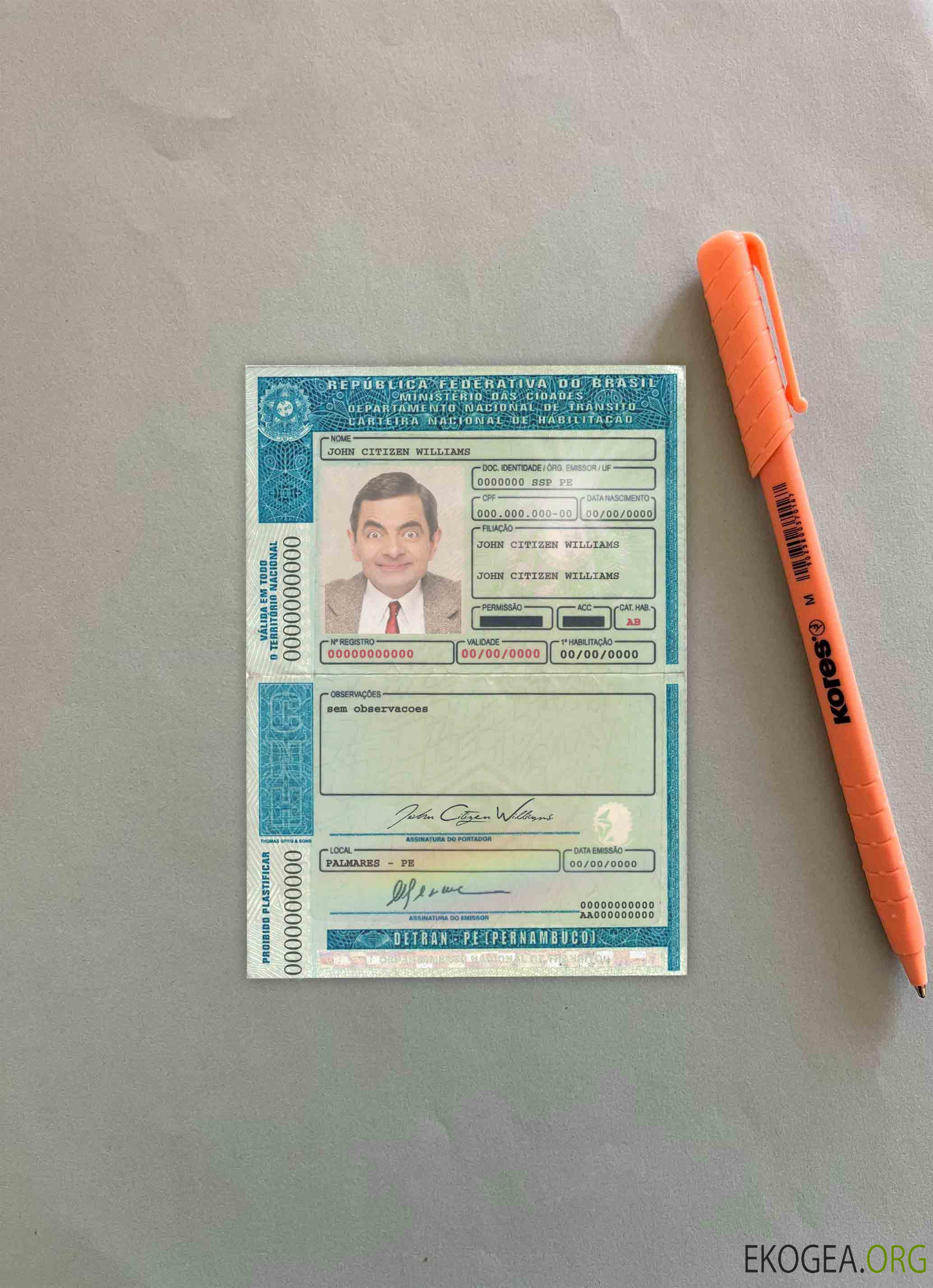 Brésil DL (Detran Pe [Pernambuco) photolook